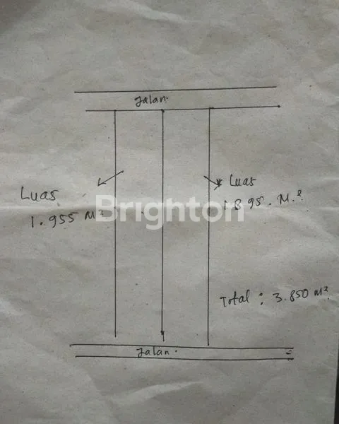 image TANAH LUAS PINGGIR JALAN ASPAL (3)