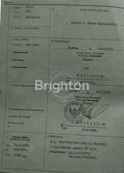 image TANAH LUAS PINGGIR JALAN ASPAL (4)