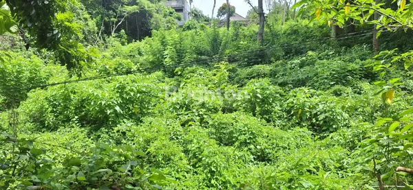 image JUAL TANAH JIMBARAN - KAWASAN VILLA (1)