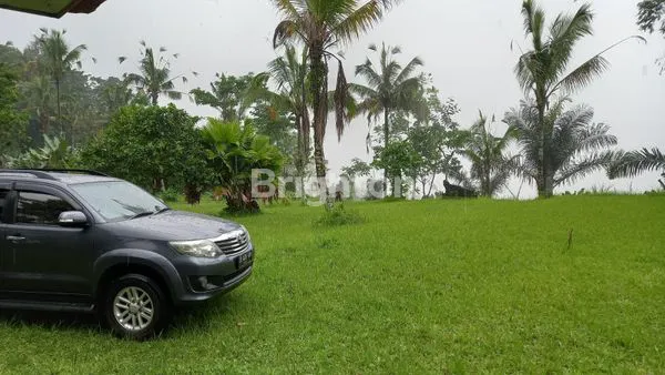 TANAH DI BUAHAN PAYANGAN