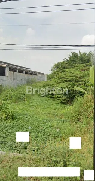image TANAH LUAS 1500M2 0 JL. RAYA MENGANTI (3)
