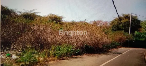 image SEWA TANAH MURAH DI KUTUH DEKAT PANTAI PANDAWA (1)