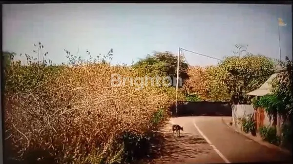 image SEWA TANAH MURAH DI KUTUH DEKAT PANTAI PANDAWA (2)