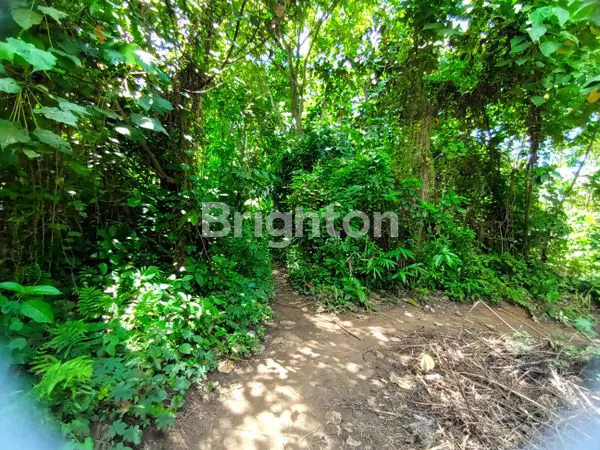 image TANAH ASRI DI KEMENUH, GIANYAR (1)