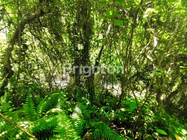 image TANAH ASRI DI KEMENUH, GIANYAR (2)