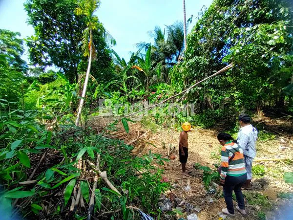 image TANAH ASRI DI KEMENUH, GIANYAR (4)