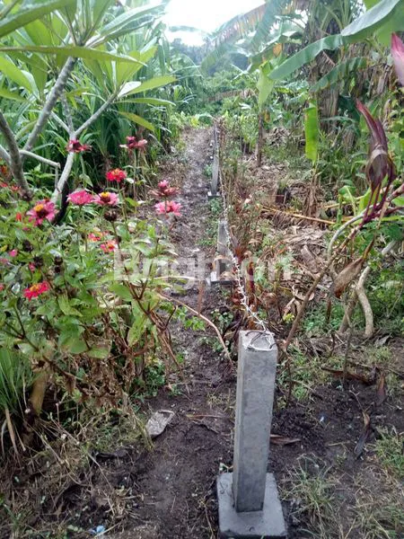 image DI JUAL TANAH DI GIANYAR DESA KEMENUH (3)