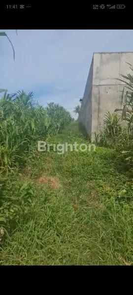 image DI JUAL TANAH DI GIANYAR DESA KEMENUH (4)