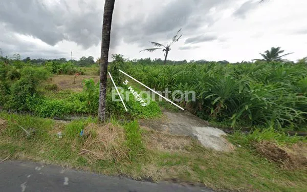 image DI JUAL TANAH DI GIANYAR DESA KEMENUH (5)