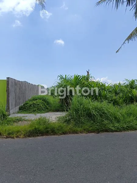 image DI JUAL TANAH DI GIANYAR DESA KEMENUH (7)