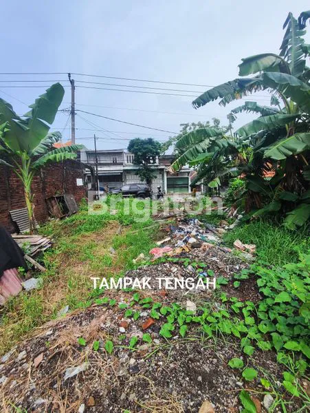 image TANAH DRIYOREJO 0 JALAN RAYA (2)