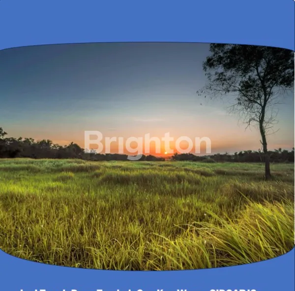 Gambar Property TANAH LUAS 10 HA TAMBAK OSO DAERAH PROSPEK PERUMAHAN MASA DATANG