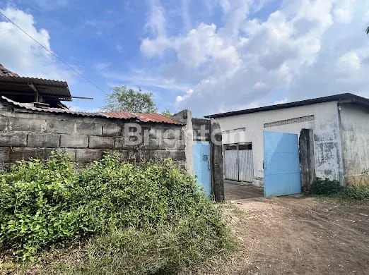 image POLOKARTO, SUKOHARJO, BANGUNAN HITUNG TANAH, TEMPAT LUAS, BANGUNAN BEKAS TERNAK AYAM, HARGA TERJANGKAU, LINGKUNGAN JAUH DARI PEMUKIMAN PENDUDUK, COCOK UNTUK GUDANG MAUPUN USAHA LAINNYA (6)