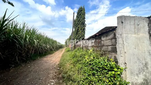 image POLOKARTO, SUKOHARJO, BANGUNAN HITUNG TANAH, TEMPAT LUAS, BANGUNAN BEKAS TERNAK AYAM, HARGA TERJANGKAU, LINGKUNGAN JAUH DARI PEMUKIMAN PENDUDUK, COCOK UNTUK GUDANG MAUPUN USAHA LAINNYA (7)