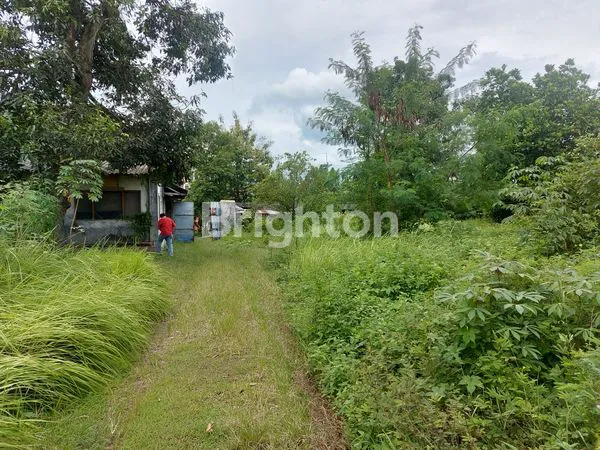 image DIJUAL TANAH & RUMAH, COCOK UNTUK PERGUDANGAN (2)