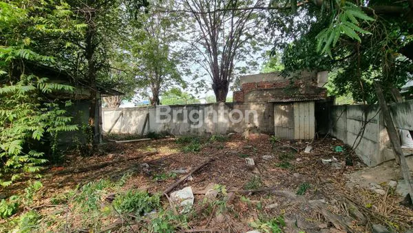 image TANAH DI CENGKARENG (4)