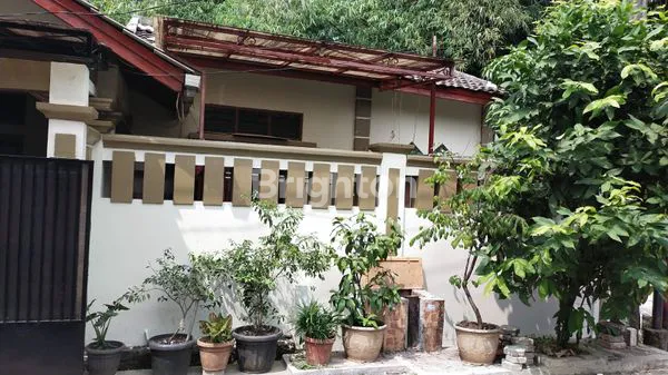 image DIJUAL RUMAH CANTIK DAN MURAH (2)