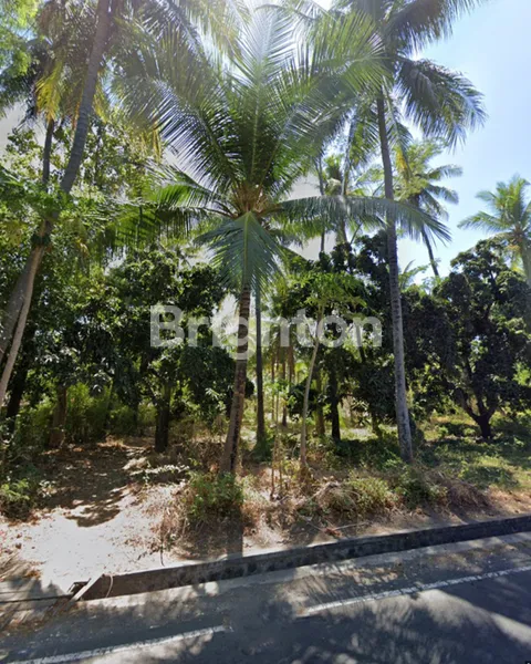 image TANAH LUAS 1,98 HEKTAR PINGGIR PANTAI DAN PINGGIR DI TEJAKULA (3)