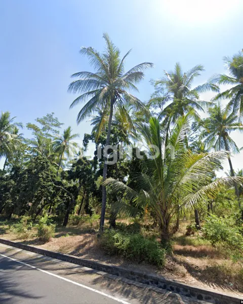 image TANAH LUAS 1,98 HEKTAR PINGGIR PANTAI DAN PINGGIR DI TEJAKULA (4)