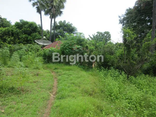 image TANAH DI BULELENG (2)