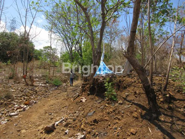 image TANAH DI BULELENG (4)