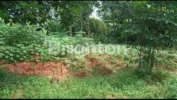 image DIJUAL CEPAT TANAH DAERAH DEPOK (1)