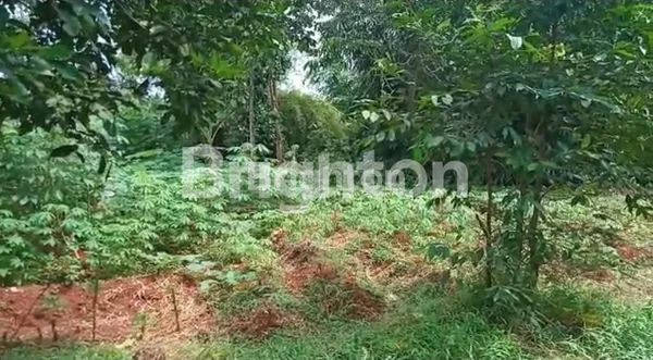 image DIJUAL CEPAT TANAH DAERAH DEPOK (5)