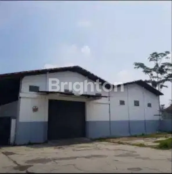 GUDANG DI KEDUNGWARU TULUNGAGUNG