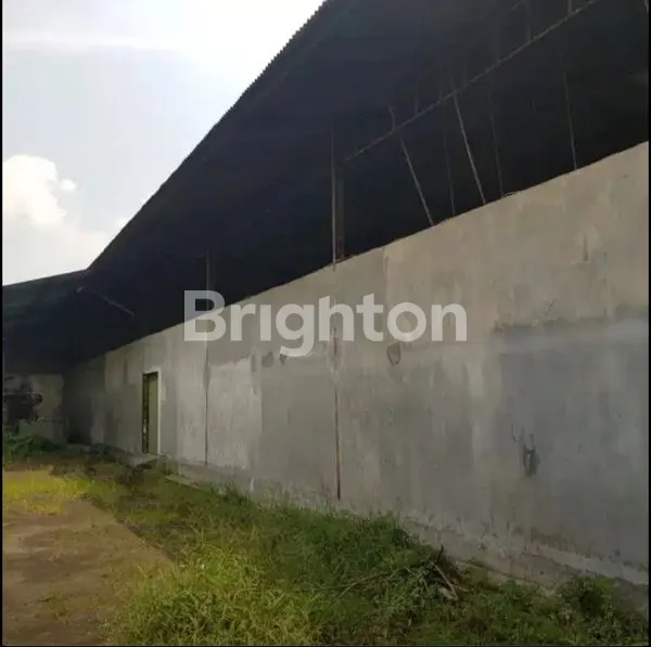 image GUDANG DI KEDUNGWARU TULUNGAGUNG (3)