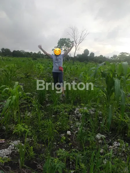 image TANAH BEACHFRONT - BUKAMBERO SUMBA BARAT DAYA (5)