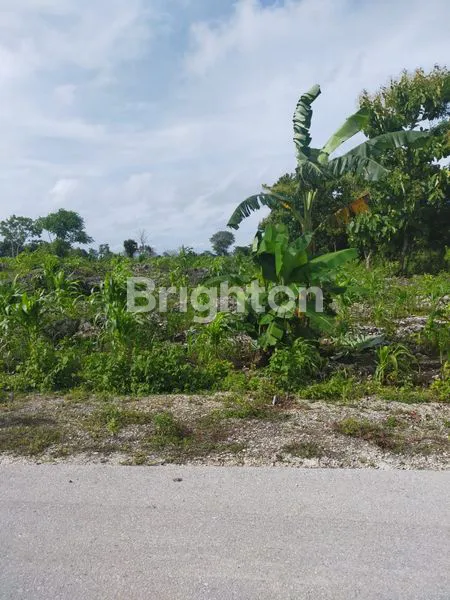 TANAH BEACHFRONT - BUKAMBERO SUMBA BARAT DAYA