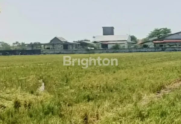 DIJUAL LAHAN SAWAH HARGA NJOP