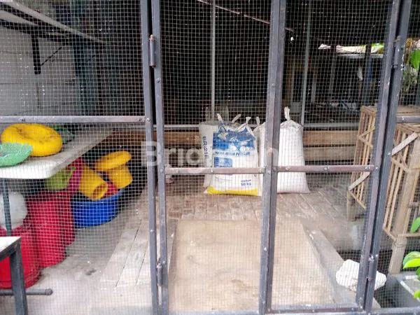image TEMPAT USAHA, TEMPAT TINGGAL PLUS KANDANG AYAM BONUS PERLENGKAPAN USAHA (7)