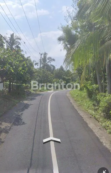 image TANAH DI TABANAN, SIAP BANGUN (4)