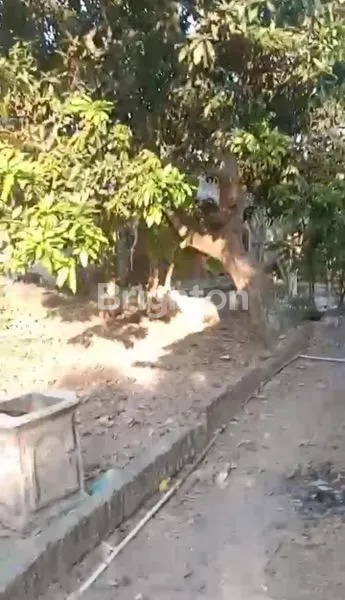 image TANAH STRATEGIS  (6)