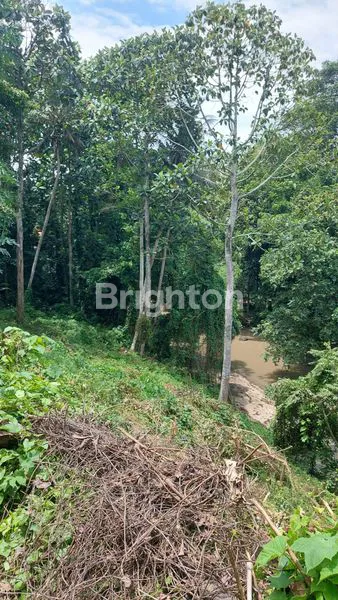 image TANAH 34,15 ARE DEKAT NUANU BEACH CLUB DAN PANTAI NYANYI DI DESA PANDAK GEDE KEDIRI TABANAN, COCOK DIBANGUN VILLA KARENA POSISI ADA DIPINGGIRAN SUNGAI  (5)