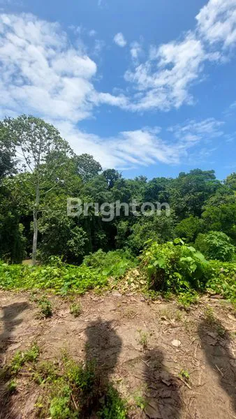 image TANAH 34,15 ARE DEKAT NUANU BEACH CLUB DAN PANTAI NYANYI DI DESA PANDAK GEDE KEDIRI TABANAN, COCOK DIBANGUN VILLA KARENA POSISI ADA DIPINGGIRAN SUNGAI  (7)