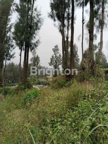 image TANAH MURAH LOKASI SANGAAT MENJUAL (2)