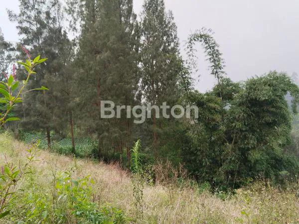 image TANAH MURAH LOKASI SANGAAT MENJUAL (3)