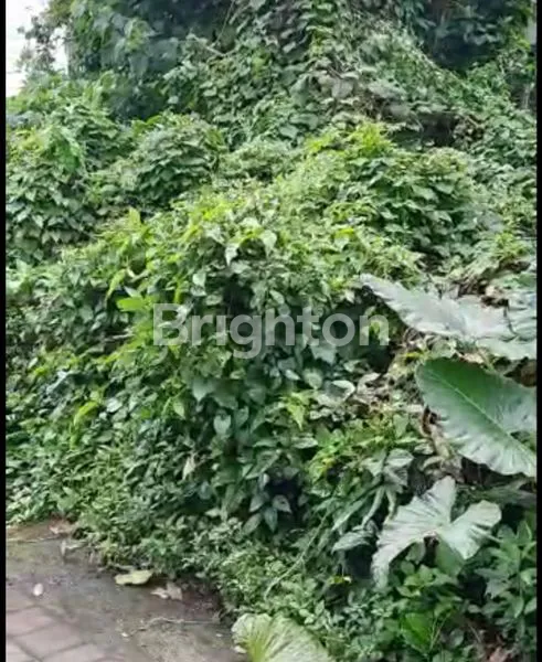 image TANAH KAV 57 ARE DS SAYAN UBUD. HARGA 350 JUTA/ARE (5)