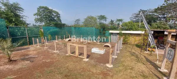 image HARGA SUPER NEGO! VILLA WISATA BANDUNG LUDOLOGI GARDEN (3)