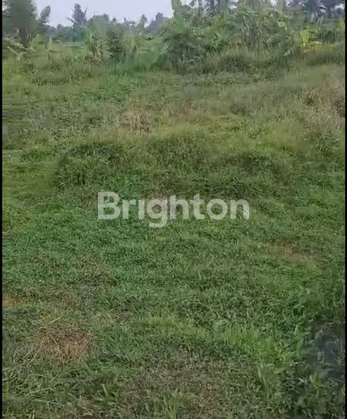 image TANAH KAV 10,5 ARE DS SAYAN UBUD. HARGA 250 JT/ ARE (2)