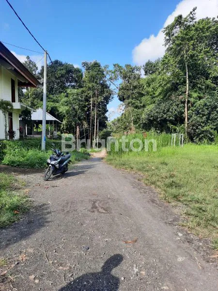 image TANAH KAV 175 ARE PAYANGAN KEDAWATAN UBUD, SAMPING COMO SHAMBHALA LOS SUNGAI AYUNG. HARGA 400 JT / ARE (5)