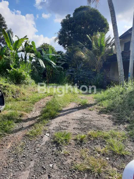 image TANAH KAV 175 ARE PAYANGAN KEDAWATAN UBUD, SAMPING COMO SHAMBHALA LOS SUNGAI AYUNG. HARGA 400 JT / ARE (6)