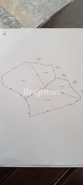 image TANAH KAV 175 ARE PAYANGAN KEDAWATAN UBUD, SAMPING COMO SHAMBHALA LOS SUNGAI AYUNG. HARGA 400 JT / ARE (7)