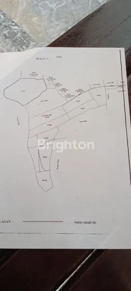 image TANAH KAV 175 ARE PAYANGAN KEDAWATAN UBUD, SAMPING COMO SHAMBHALA LOS SUNGAI AYUNG. HARGA 400 JT / ARE (8)