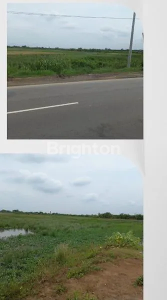 image TANAH DEKAT KAWASAN INDUSTRI KENDAL (2)