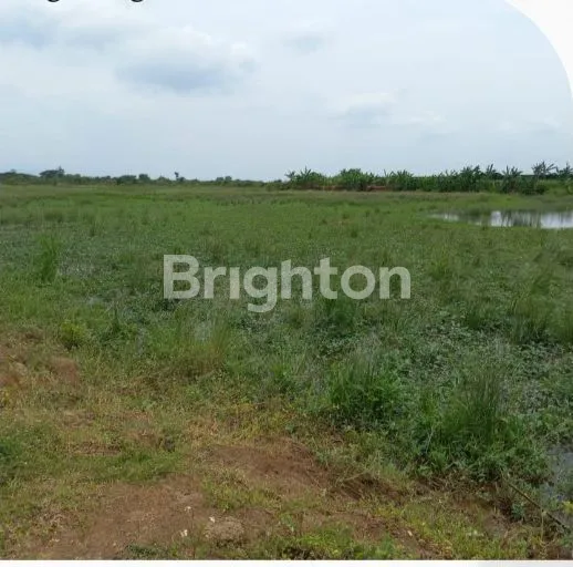 image TANAH DEKAT KAWASAN INDUSTRI KENDAL (3)