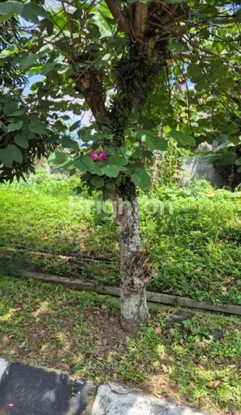 image KAVLING DI ISTANA REGENCY PASTEUR (2)