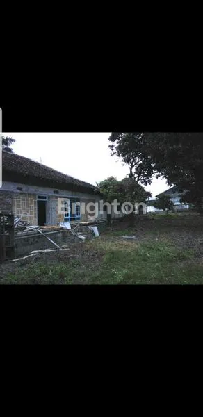 image JUAL TANAH BONUS RUKO - PUGER (2)